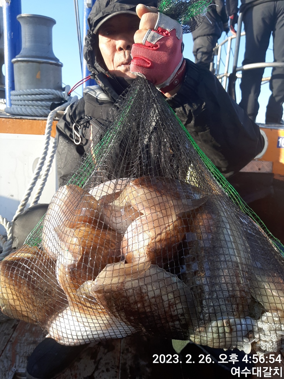 2월26일 여수 심해 갑오징어 출조 조황