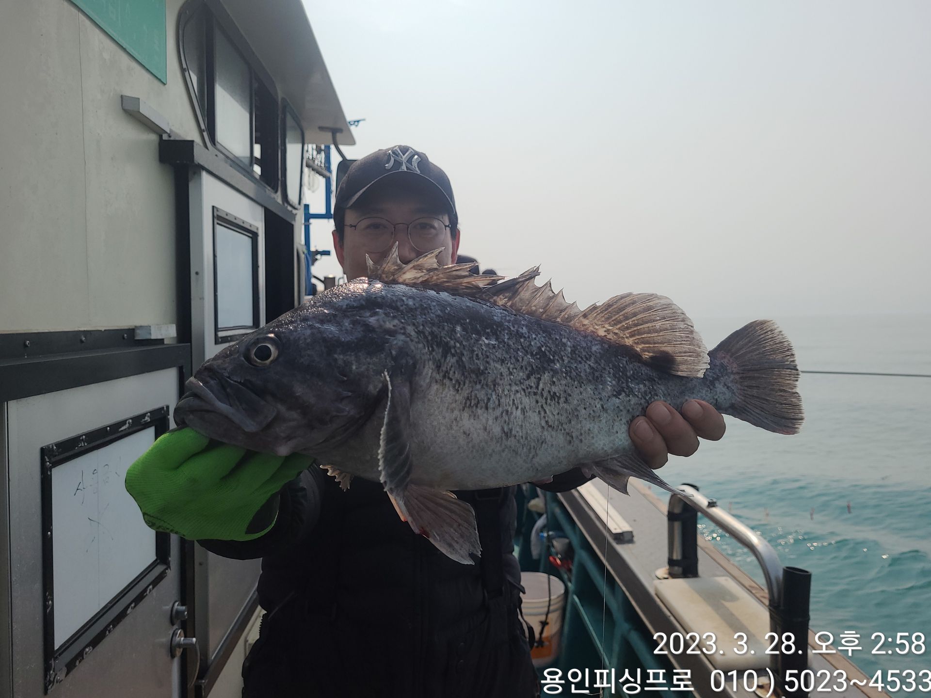 3월28일(화) 진도 먼바다 우럭.열기 출조 조황