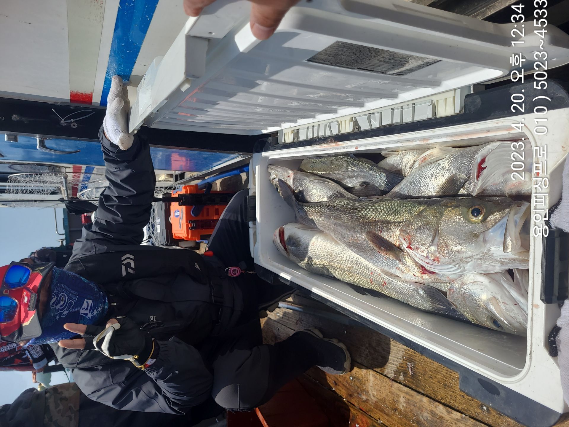 4윌20일(목)가거도 농타 초대박 조황